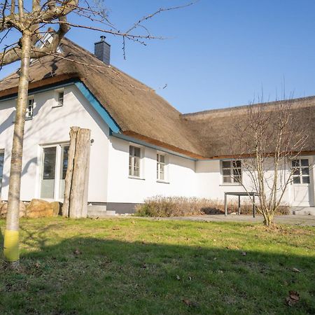 Haus Tadder Villa Борн Екстериор снимка